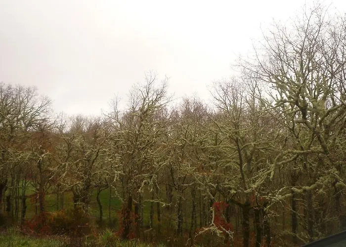 Casa de Campo Casas Avela Brava